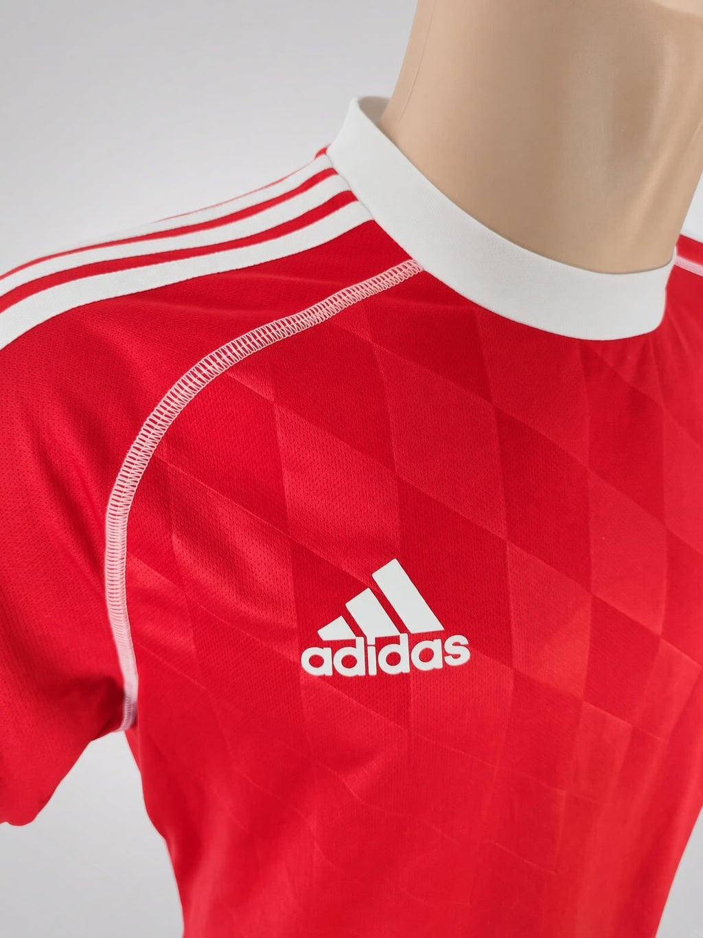 CAMISETA DE CALENTAMIENTO BAYERN DE MUNICH 2013/2014